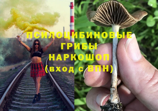 Альфа ПВП Балабаново