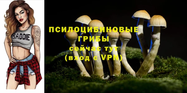 гашик Баксан